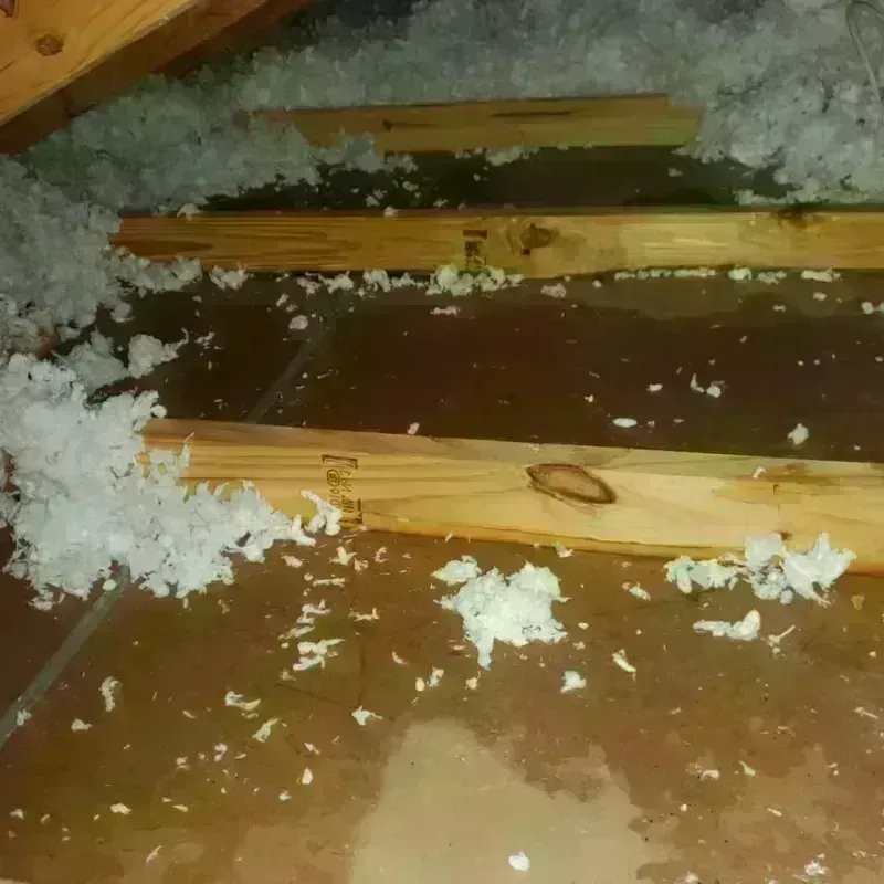 Attic Water Damage in Morongo Valley, CA